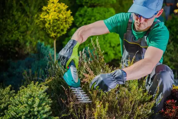 landscaping services Waite Hill